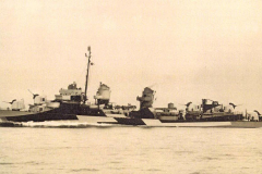 USS_Rooks_camo